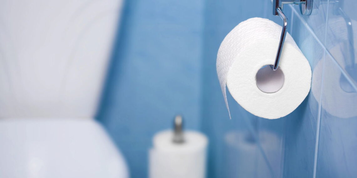 Esse truque inusitado com papel higiênico acaba com mosquitos em casa