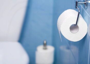 Esse truque inusitado com papel higiênico acaba com mosquitos em casa