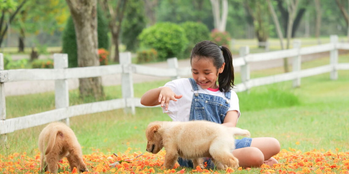 Atividades no jardim criam conexão natural entre tutores e pets