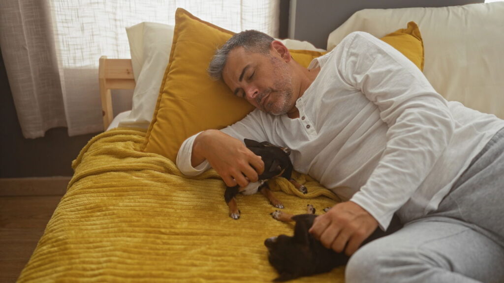 Como pets influenciam emoções e reduzem o estresse