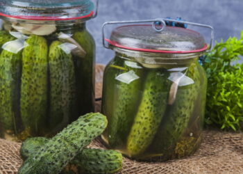 Dicas que irão manter seu pepino fresco por semanas