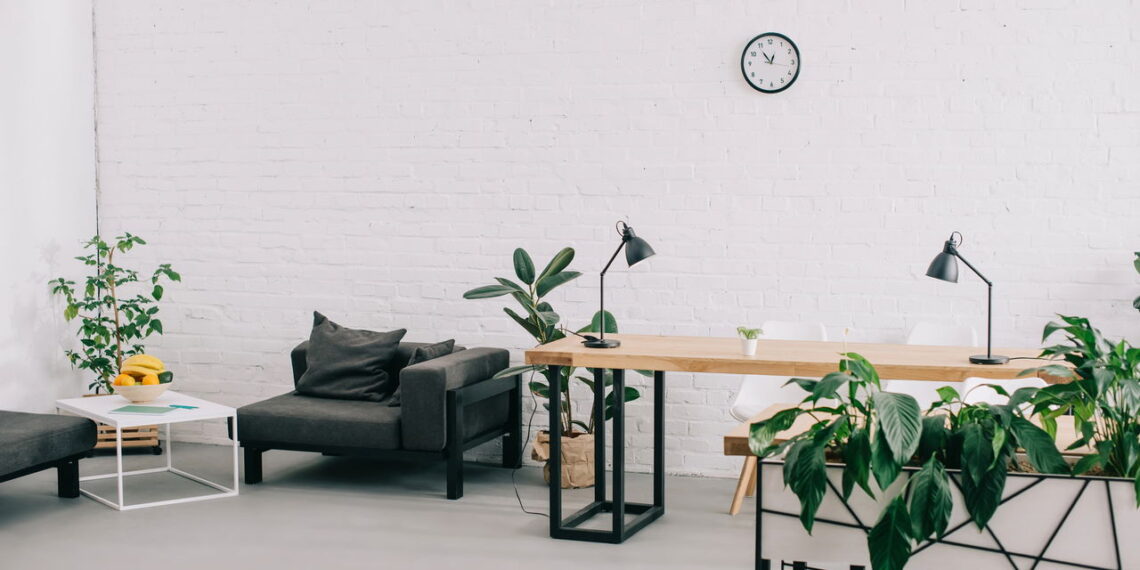 As 3 melhores plantas para deixar sua sala mais aconchegante