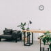 As 3 melhores plantas para deixar sua sala mais aconchegante