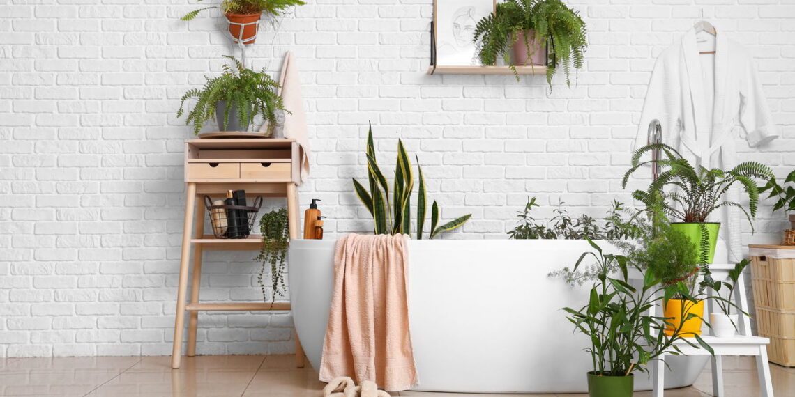 As 3 plantas que inovam banheiros com frescor natural e design minimalista