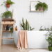As 3 plantas que inovam banheiros com frescor natural e design minimalista