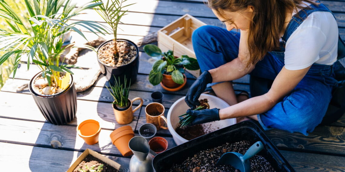 Compatibilidade de signos com plantas que fortalecem vínculos