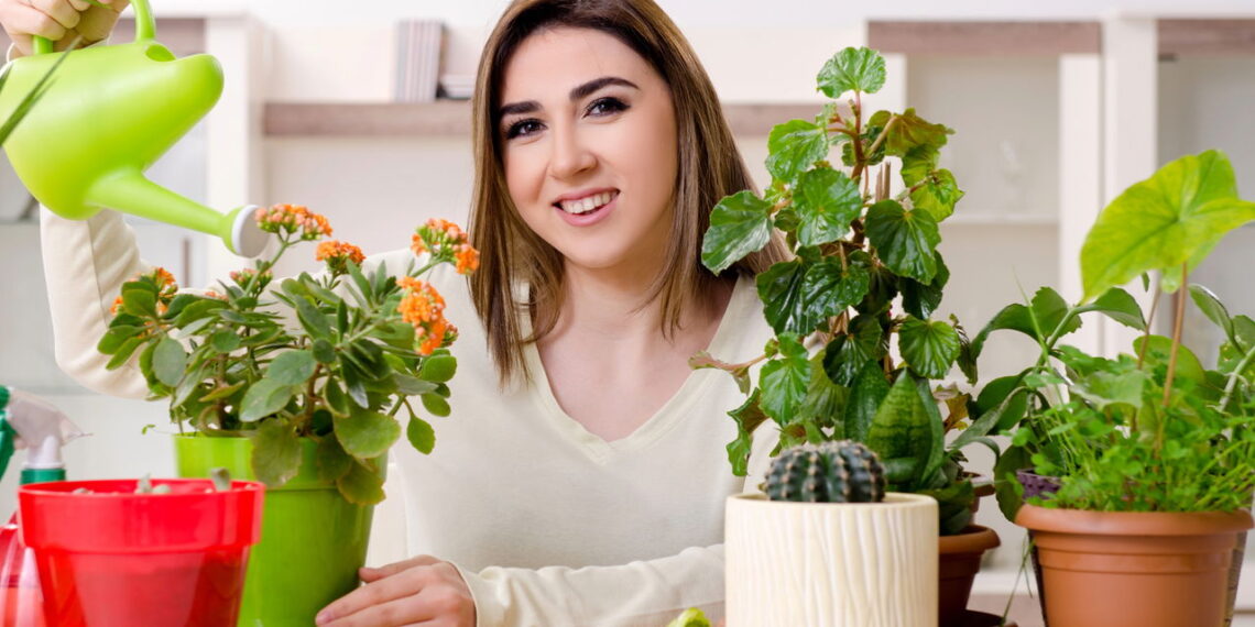 4 plantas com flores delicadas que criam um toque romântico na decoração