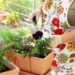 Plantas que elevam a vibração positiva e o equilíbrio emocional