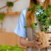3 plantas que reduzem inchaço e promovem silhueta elegante