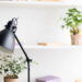 3 plantas ideais para ambientes com luz variável e manutenção simples