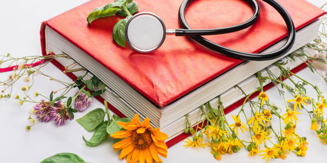 Essas 3 plantas medicinais têm efeitos reais na sua saúde física