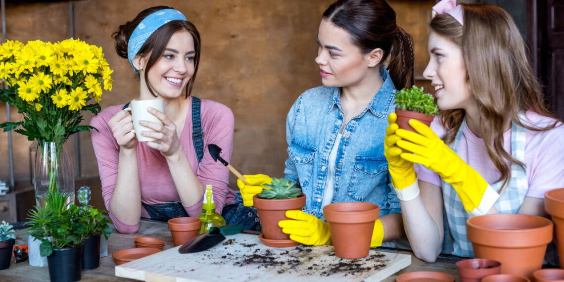 3 plantas que apoiam a menopausa com graça e vitalidade renovada