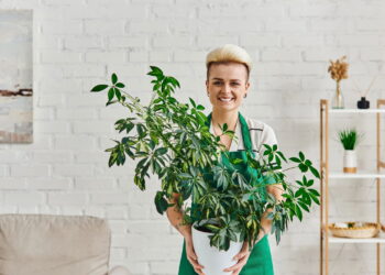 Essas plantas atraem autoconfiança radiante e brilho pessoal inabalável