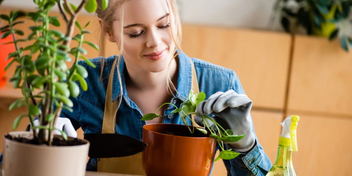 Plantas que atraem abundância criativa e fluxo artístico natural