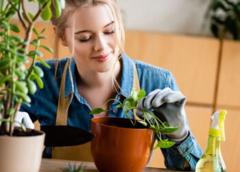 Plantas que atraem abundância criativa e fluxo artístico natural