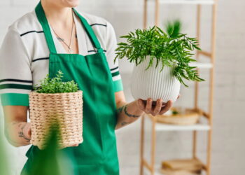 Plantas que tecem um casulo de autoconfiança e radiância interior