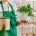 Plantas que tecem um casulo de autoconfiança e radiância interior