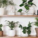 3 plantas que apoiam a saúde óssea com nutrientes essenciais