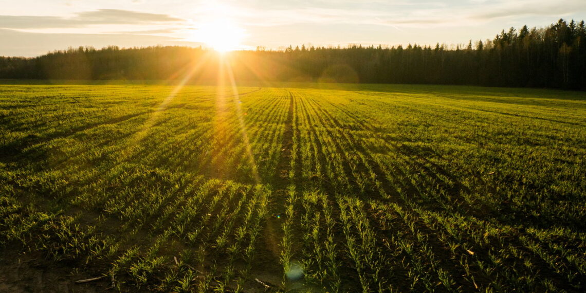 Práticas simples para preparar sua casa na primavera, segundo especialistas