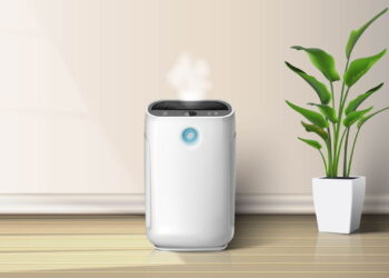 Plantas que ajudam a limpar o ar e reduzir poeira dentro de casa