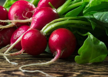 Como conservar rodelas de rabanete frescas por semanas na geladeira