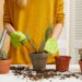 O tempo certo para regar um cacto e manter a planta sempre saudável