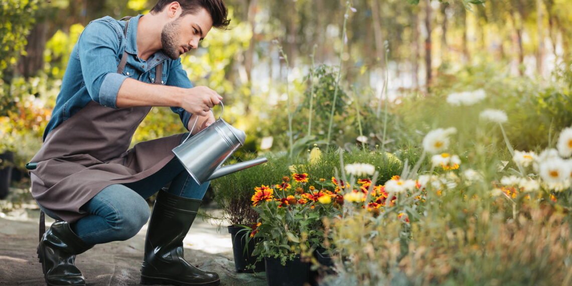 Plantas que precisam de pouca água e estão em alta nos apartamentos