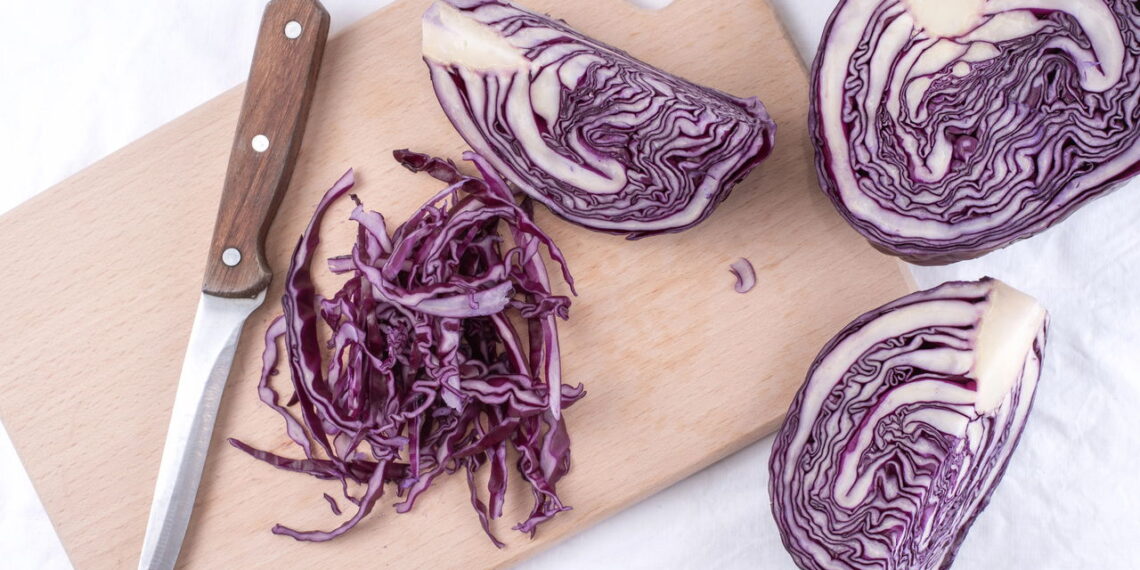 Dica simples para manter o repolho roxo vibrante e saudável por semanas na geladeira