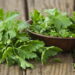 Como manter salsinha vibrante e aromática por semanas