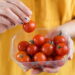 Dicas para conservar tomates por mais tempo sem perder o frescor