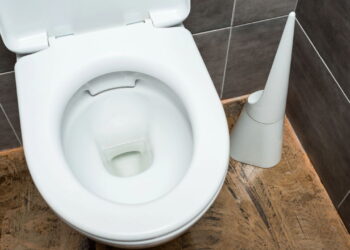 Nem cloro, nem pastilha: esse truque no vaso sanitário virou febre