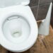 Nem cloro, nem pastilha: esse truque no vaso sanitário virou febre
