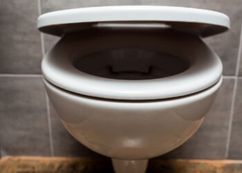 Qual é o propósito de jogar sal e bicarbonato de sódio no vaso sanitário
