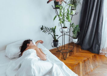 Como integrar plantas no quarto para um sono reparador e tranquilo