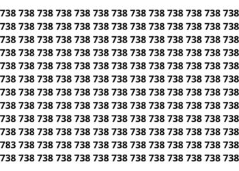 Apenas 3 em cada 20 pessoas conseguem encontrar o 783 em 7 segundos