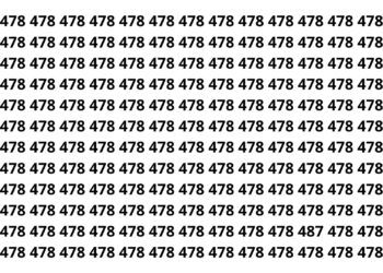 Poucos conseguem encontrar o número 487 em menos de 8 segundos