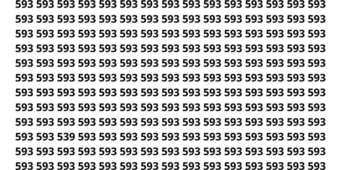 Prove sua atenção e encontre o número 539 em 10 segundos