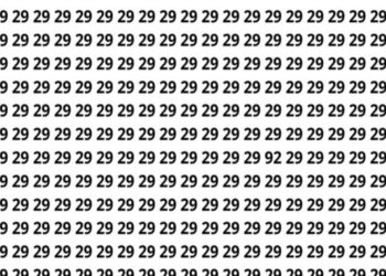 Apenas 1 em cada 10 pessoas consegue encontrar o número escondido na imagem