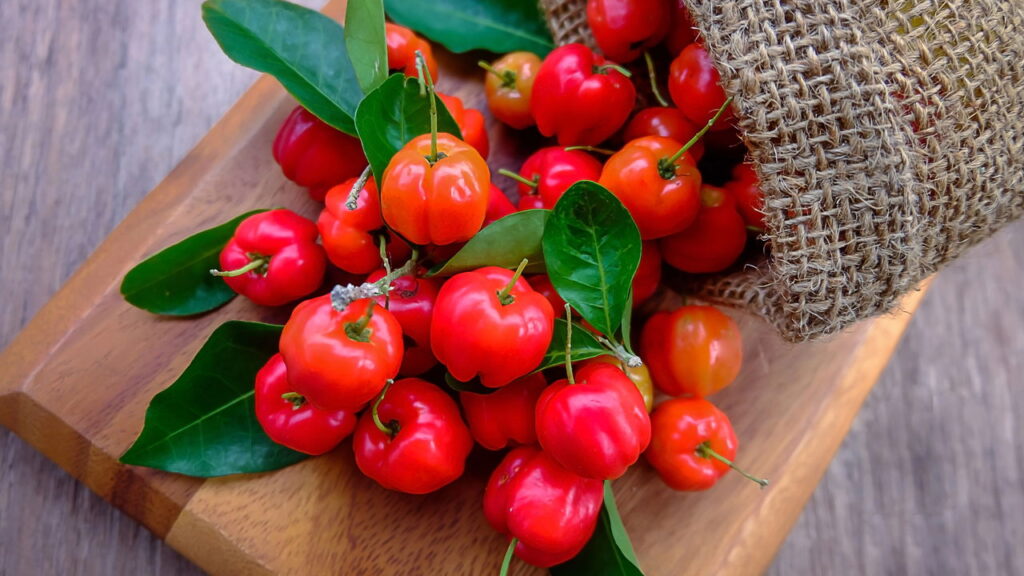3 frutas saborosas para cultivar em vaso e colher no conforto de casa