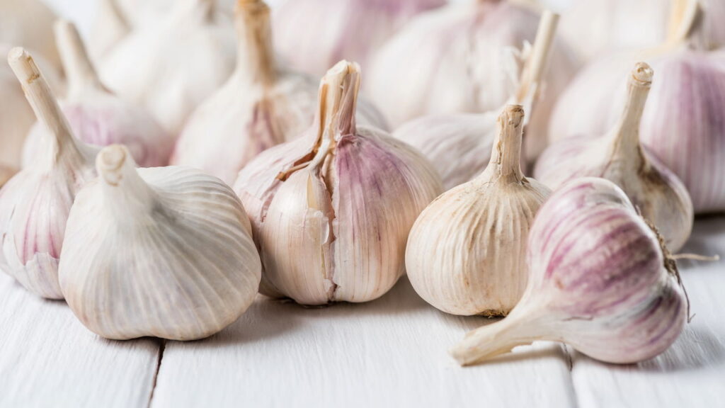 Como guardar alho para evitar brotos e manter o sabor
