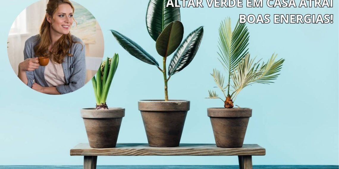 Como criar um altar verde com aromas e ervas do zodíaco