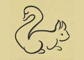 Qual animal você viu primeiro? Descubra sua habilidade oculta