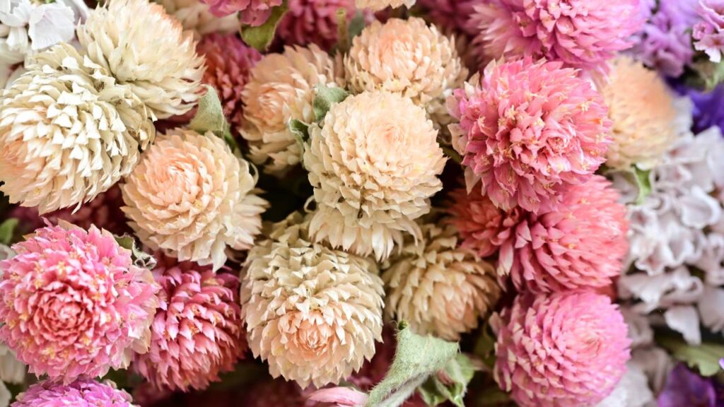 3 lindas flores para usar na decoração durante a primavera
