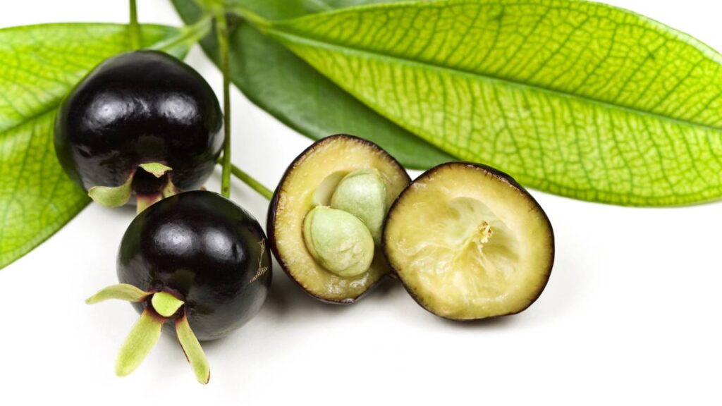 Essas frutas saborosas podem ser cultivadas mesmo morando em apartamento