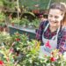 3 flores fáceis de plantar em outubro para deixar seu jardim mais bonito