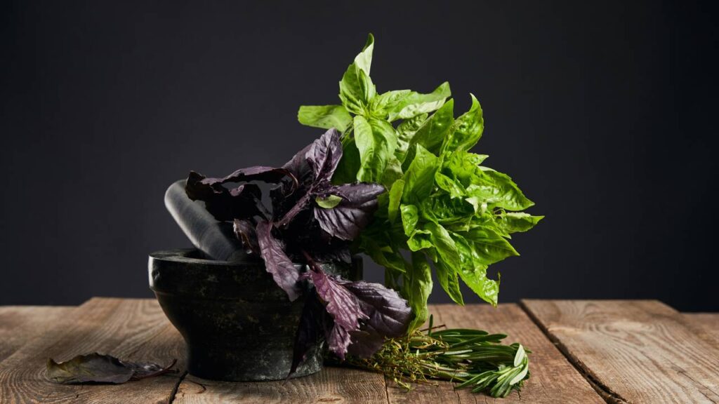 Plantas aromáticas afastam insetos e deixam a casa cheirosa