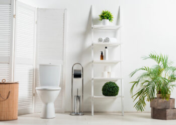 Plantas para o banheiro que absorvem umidade e criam frescor natural