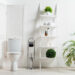 Plantas para o banheiro que absorvem umidade e criam frescor natural