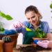 Plantas simples de cultivar para iniciantes em jardinagem