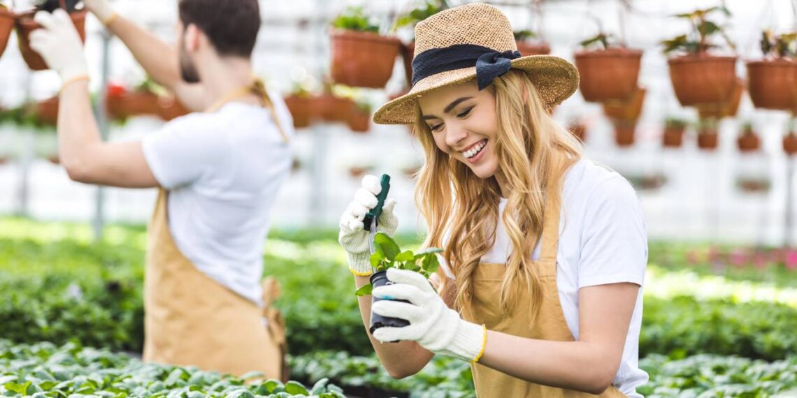 A verdade sobre a planta que relaxa o corpo e por que ignorá-la é um erro